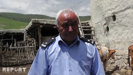 Qubada xəstəlikdən tələf olan mal-qara basdırılmayıb - FOTO - VİDEO