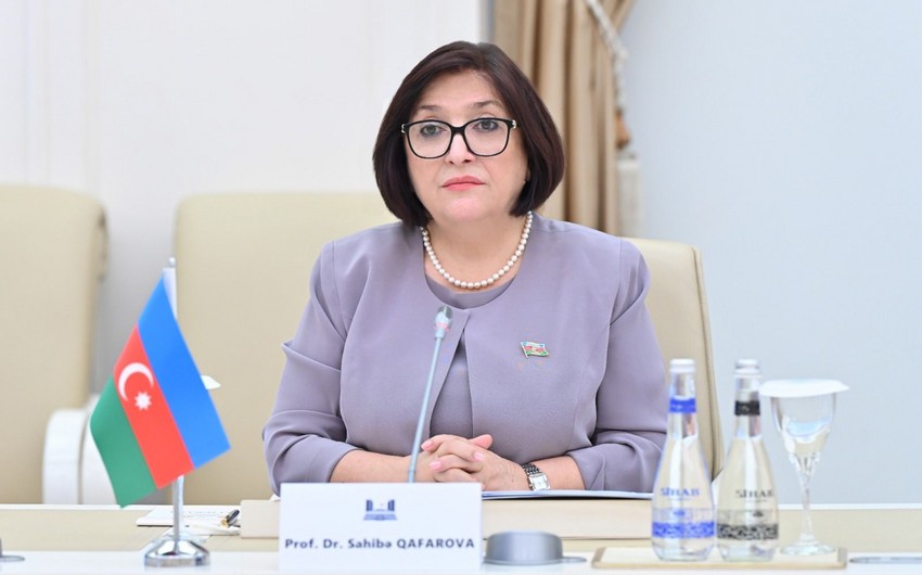 Председатель Милли Меджлиса резко раскритиковала пять резолюций парламента Бельгии в отношении Азербайджана