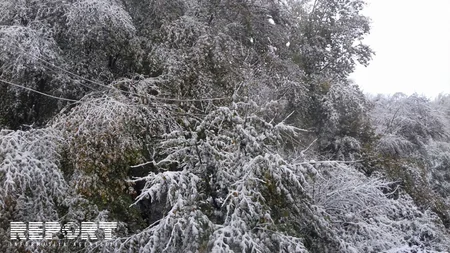 Снегопад в Гусарском районе оставил без света горное село - ФОТО