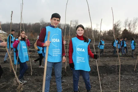 IDEA-nın dəstəyi ilə Qəbələdə 7000 ədəd akasiya ağacı əkilib
