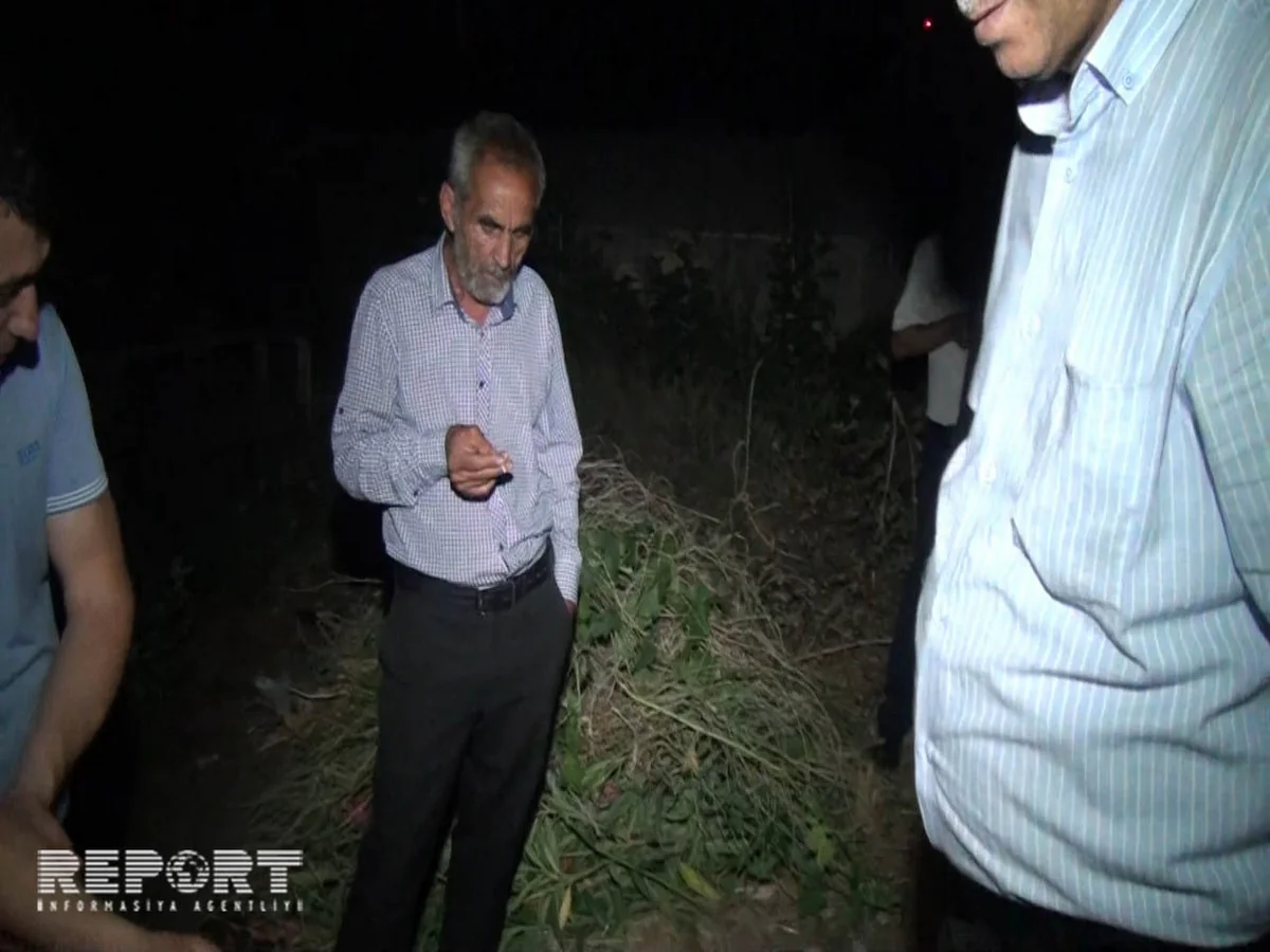 Abşeronda fərdi yaşayış evinin həyətyanı sahəsində külli miqdarda narkotik maddə aşkarlanıb - FOTO - VİDEO