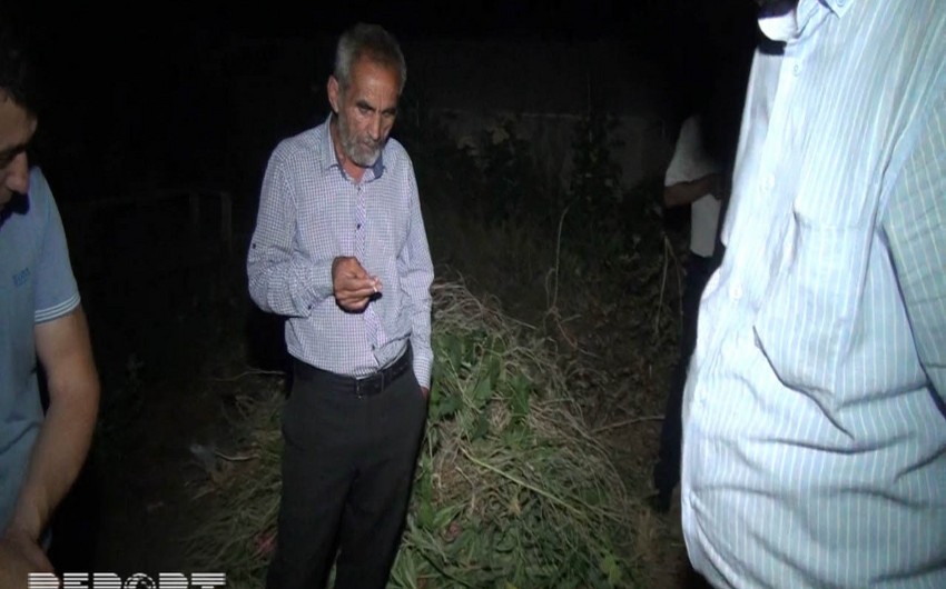 Abşeronda fərdi yaşayış evinin həyətyanı sahəsində külli miqdarda narkotik maddə aşkarlanıb - FOTO - VİDEO