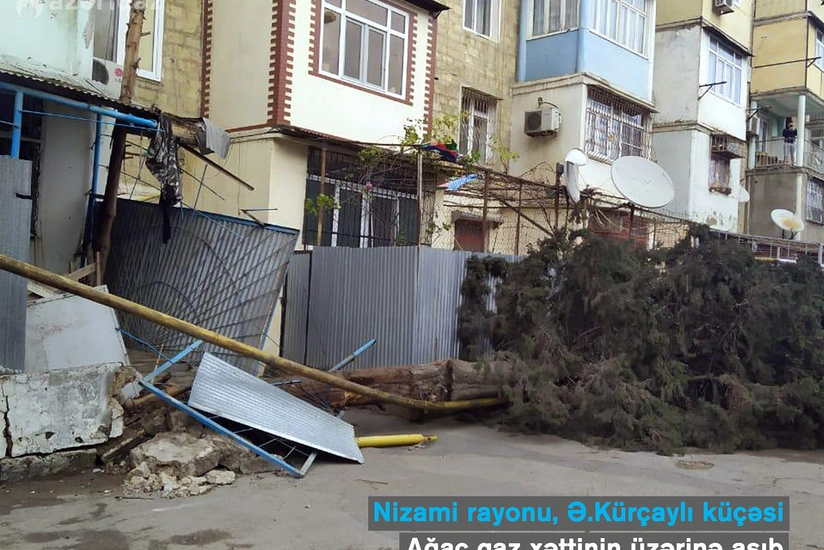 Сильный ветер повалил дерево на газопровод