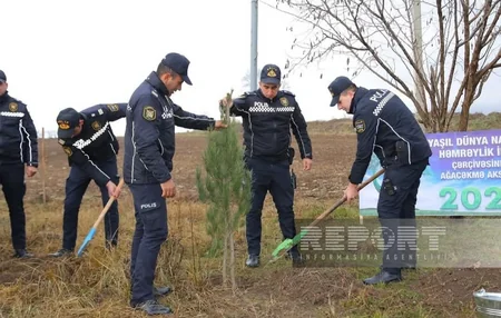 “Yaşıl dünya naminə həmrəylik ili” çərçivəsində Oğuzda 10 300 ədəd ağac əkilib