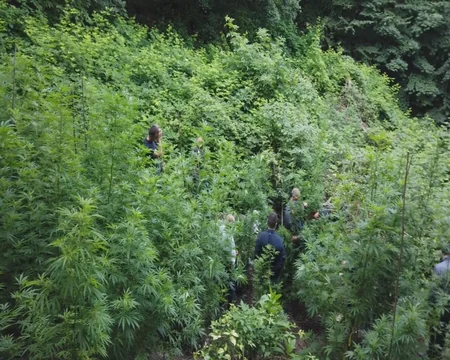 Balakən polisi, Daxili Qoşunlar və DSX birgə əməliyyat keçirib, 7 nəfər saxlanılıb
