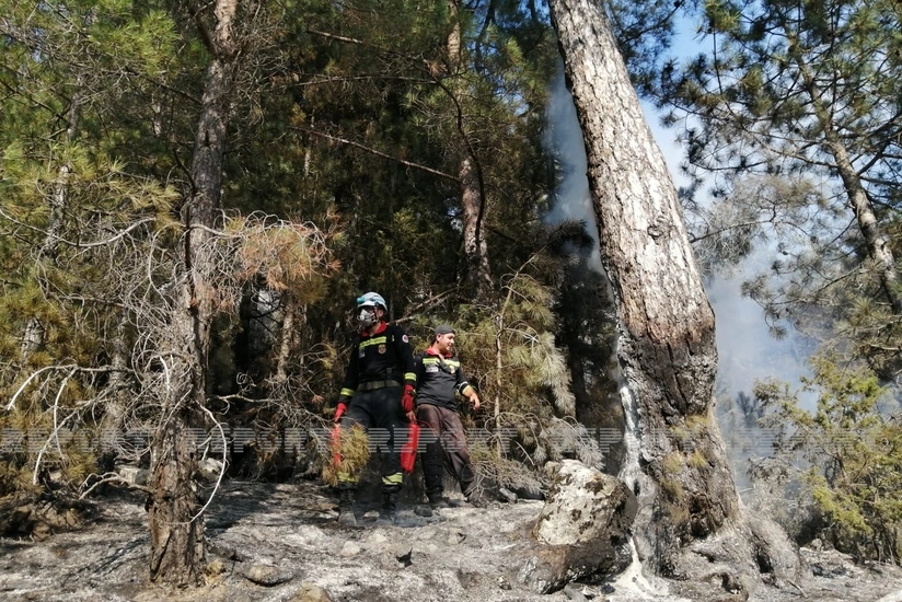 Muğlanın Ayıyolu ərazisində genişmiqyaslı meşə yanğını olub