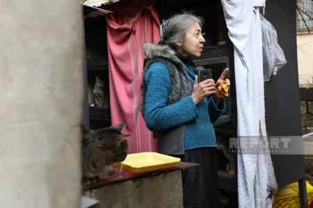 İnfarktdan ölən pişik, özünü heyvanlara həsr edən qadın - İçərişəhərdə 100-ə yaxın pişik saxlanılan evdən REPORTAJ - VİDEO