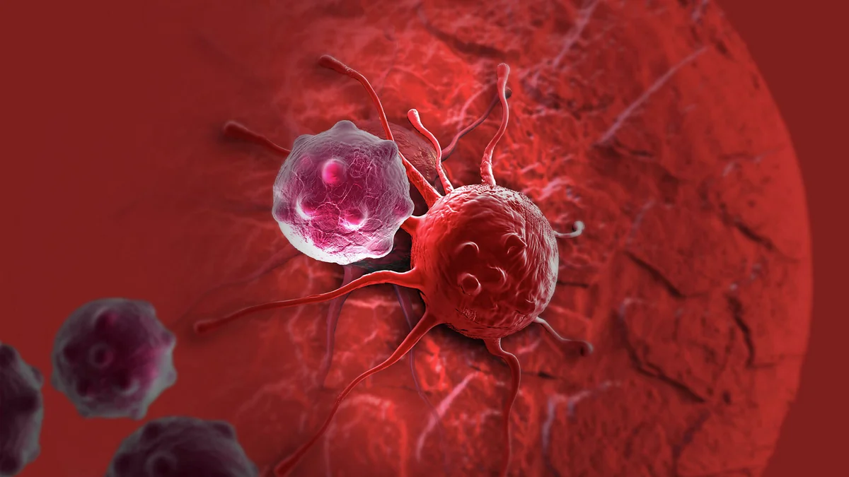 Найден белок, предотвращающий рак