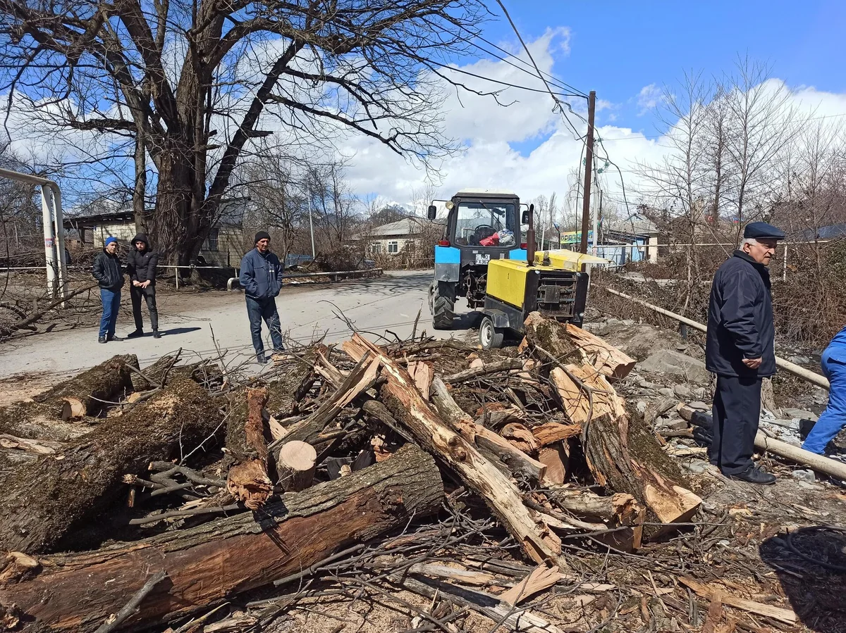 Biləsuvar və Cəlilabadda güclü külək fəsadlar yaradıb