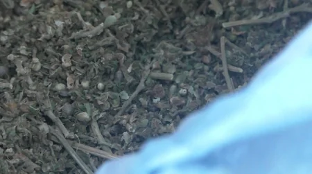 Quba sakininin evindən narkotik götürüldü