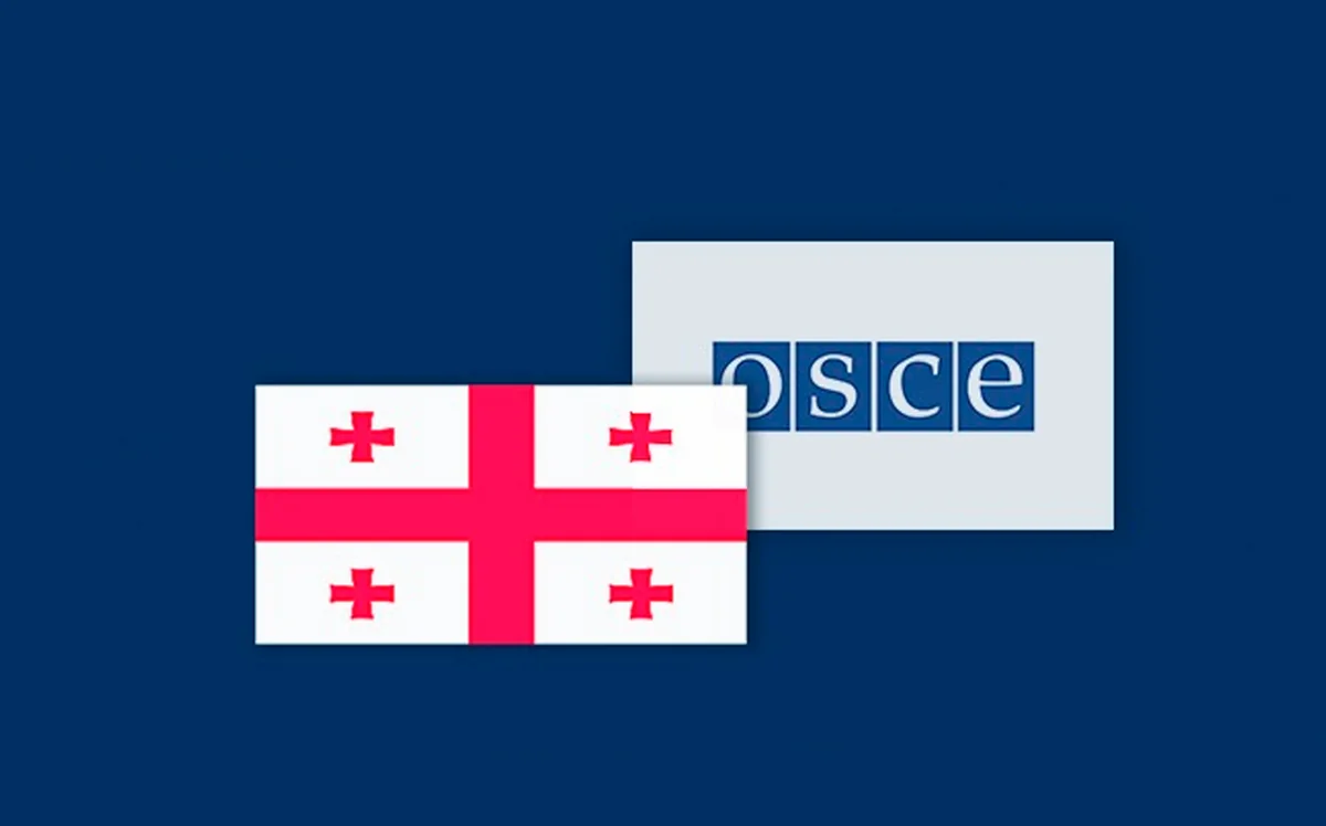 Представители БДИПЧ ОБСЕ провели встречи с грузинской оппозицией