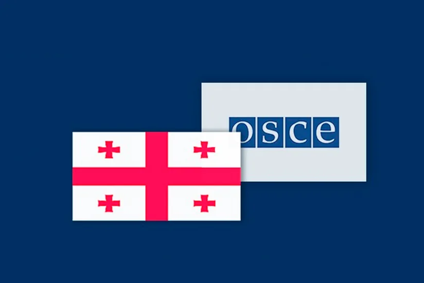 Представители БДИПЧ ОБСЕ провели встречи с грузинской оппозицией