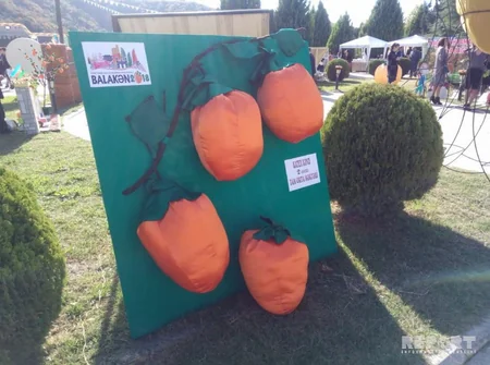 Balakəndə ikinci Beynəlxalq Xurma Festivalı keçirilir - FOTO - VİDEO