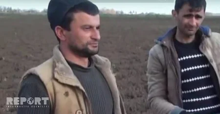 Cəlilabadda əkin sahələri su altında qalıb, kartof toxumları çürüyüb