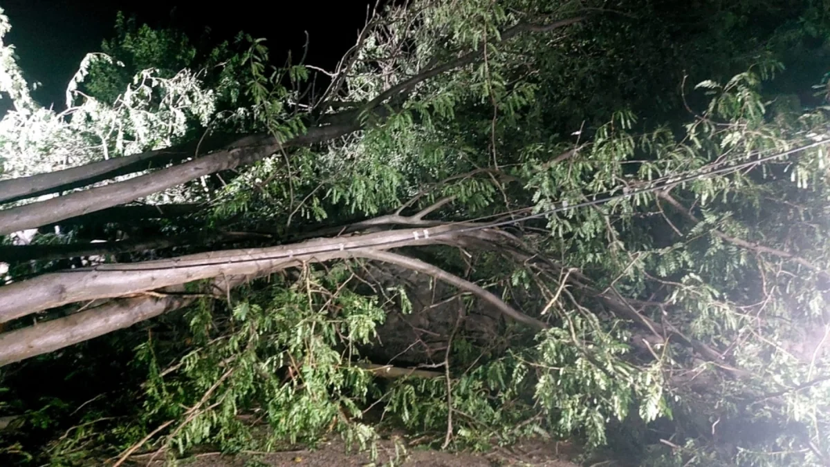 Mingəçevirdə güclü külək ağacları aşırıb, ölən və xəsarət alanlar var - YENİLƏNİB