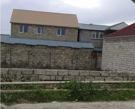 Asan qazanc hərisliyi COVID-19-dan daha yaşlı və qorxuludur - ARAŞDIRMA