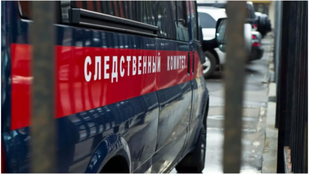 В России мужчина зарезал женщину и троих ее внуков