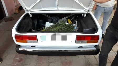 Zaqatalada keçmiş məhkumdan 4 kiloqram marixuana götürülüb