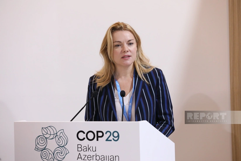 UN: Digital technologies can slow down biodiversity loss