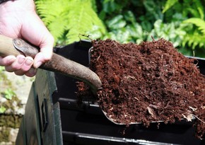 Azerbaijan resumes fertilizer purchases from Canada