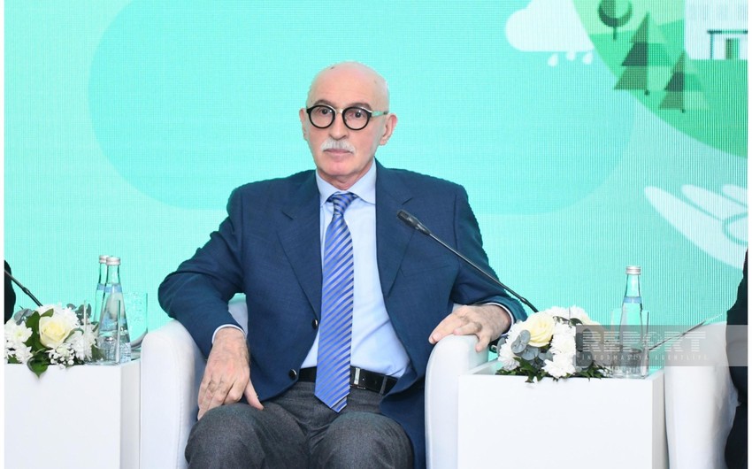 Nazir müavini: İnkişaf etmiş ölkələrin texnoloji yüksəlişi bəzən təbiətə mənfi təsir edir