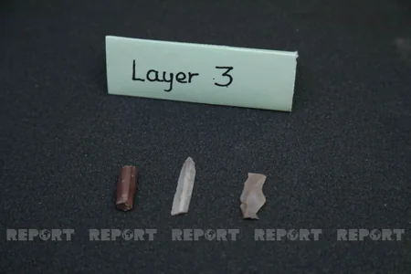 Scientific research conducted in Gobustan reserve discussed in Baku