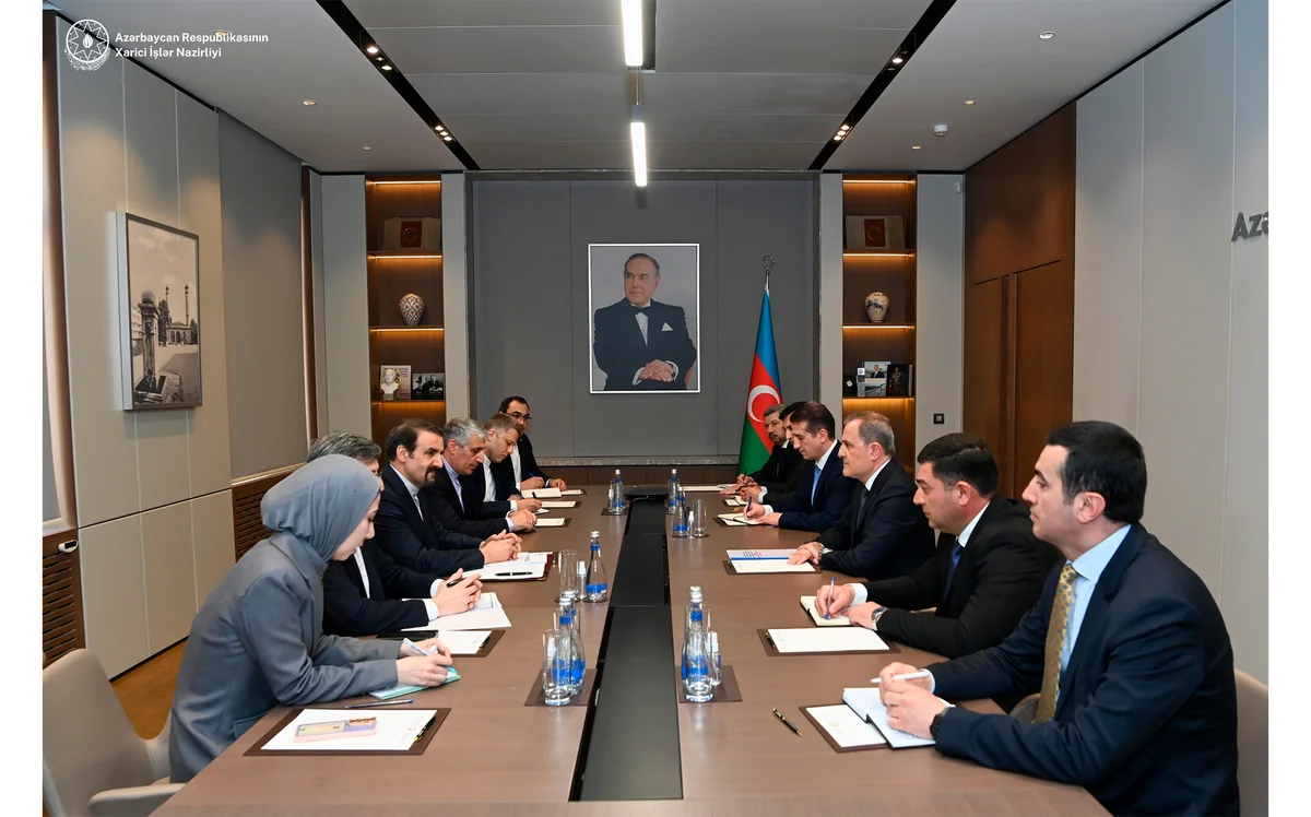 Azerbaijani FM mulls regional, int'l security issues with Iranian presidential advisor