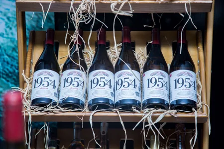 CinemaPlus-da “Pis oğlanlar” nümayiş olunub - VİDEO