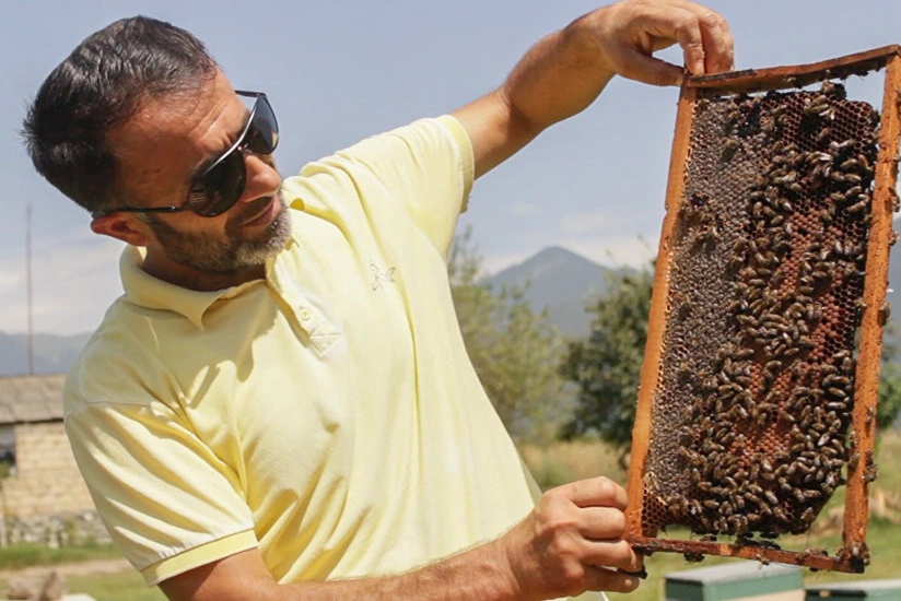 Azerbaijan may establish Institute of Beekeeping