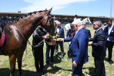 Mahir Muradov Kuboku uğrunda konkur yarışlarının qalibləri müəyyənləşib
