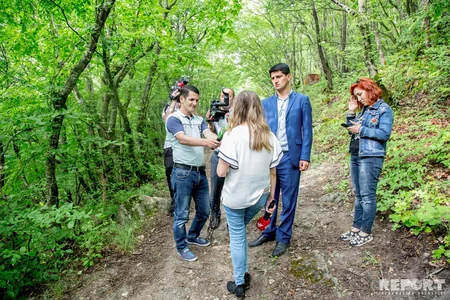 Bakıya ən yaxın böyük meşədən... - REPORTAJ