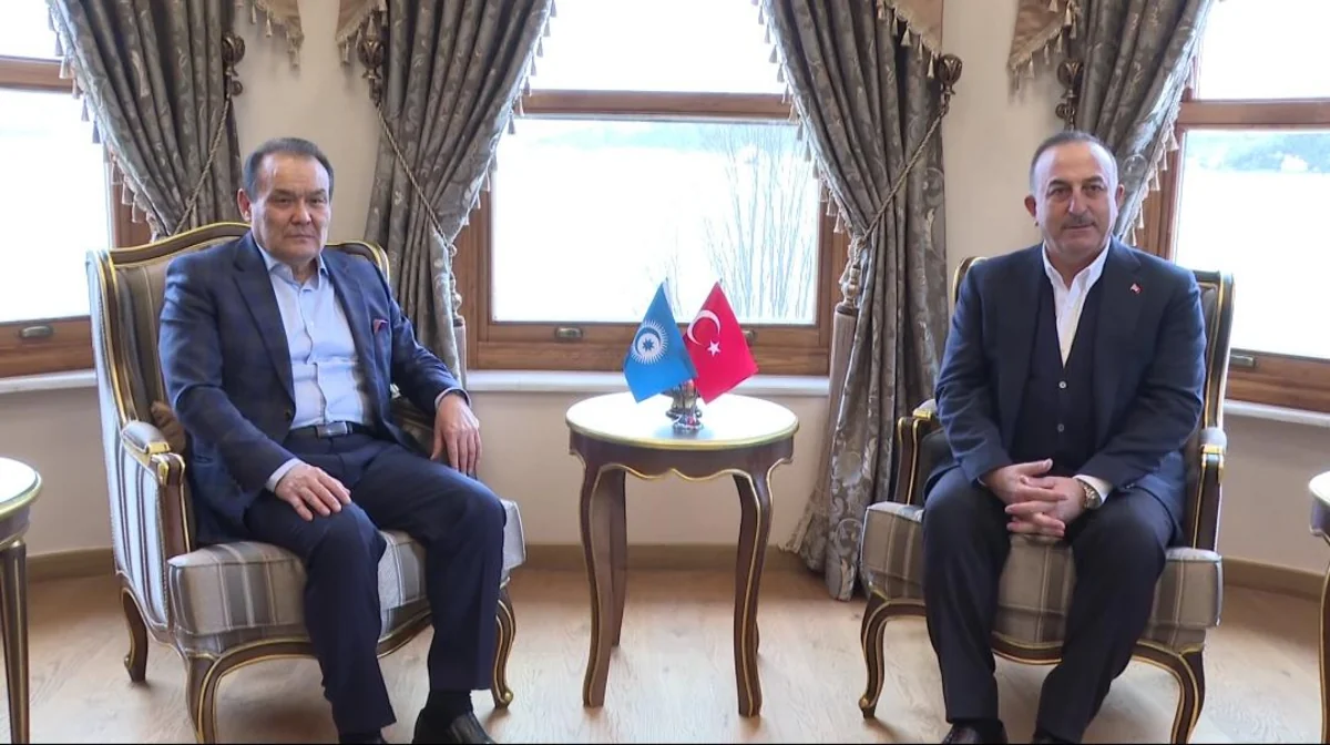 Mövlud Çavuşoğlu TDT-nin baş katibi ilə görüşüb