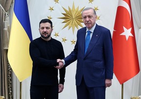 Erdogan and Zelenskyy discuss bilateral, regional, and global issues