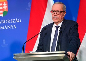 Macarıstan gündə bir milyon avro kəsilən cəriməni ləğv etdirmək istəyir