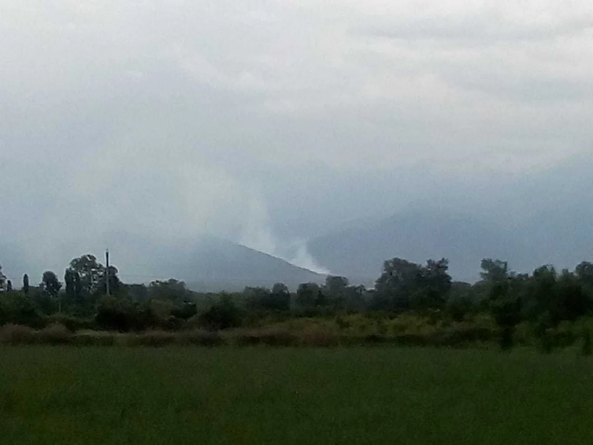 Oğuzda meşə yanğını söndürülüb - FOTO - YENİLƏNİB