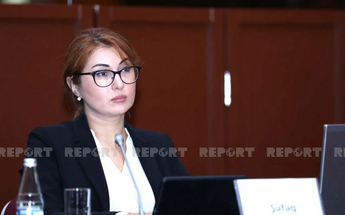 AMADA-nın rəhbəri: İdmançılarımız Tokioya təmiz yollanıblar