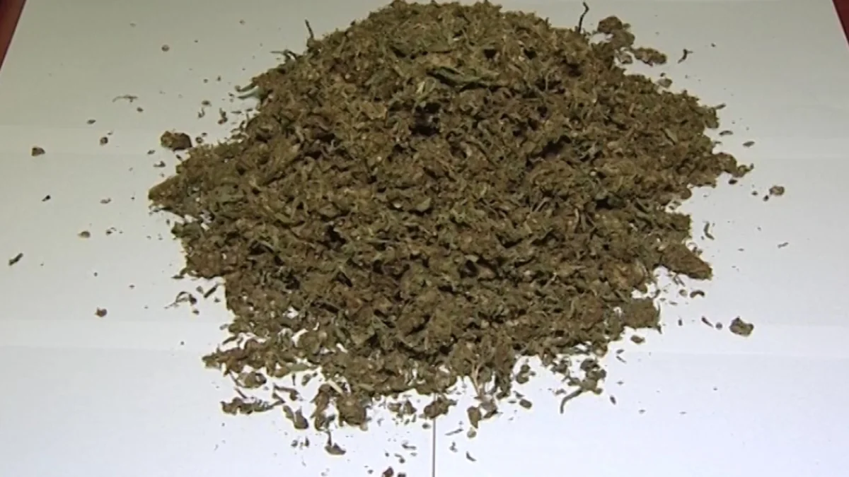 Bakıda keçmiş məhkumdan 2 kq-dan artıq marixuana aşkar edilib