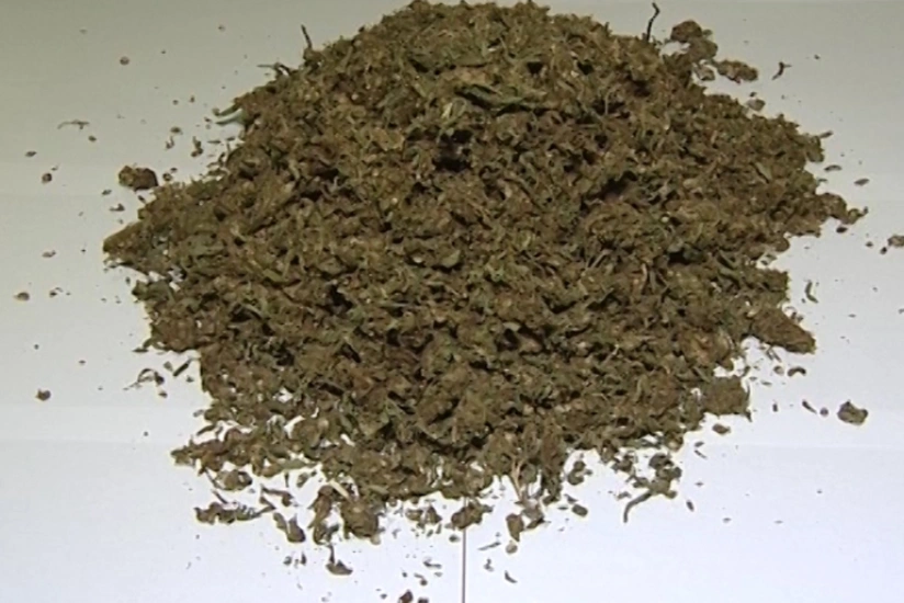 Bakıda keçmiş məhkumdan 2 kq-dan artıq marixuana aşkar edilib