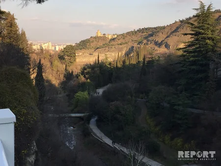 Tbilisidəki Botanika bağından - REPORTAJ