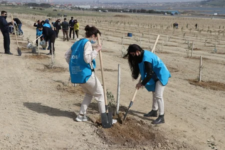 Bakı və Tərtərdə daha 1 225 ədəd müxtəlif cinsli ağac əkilib