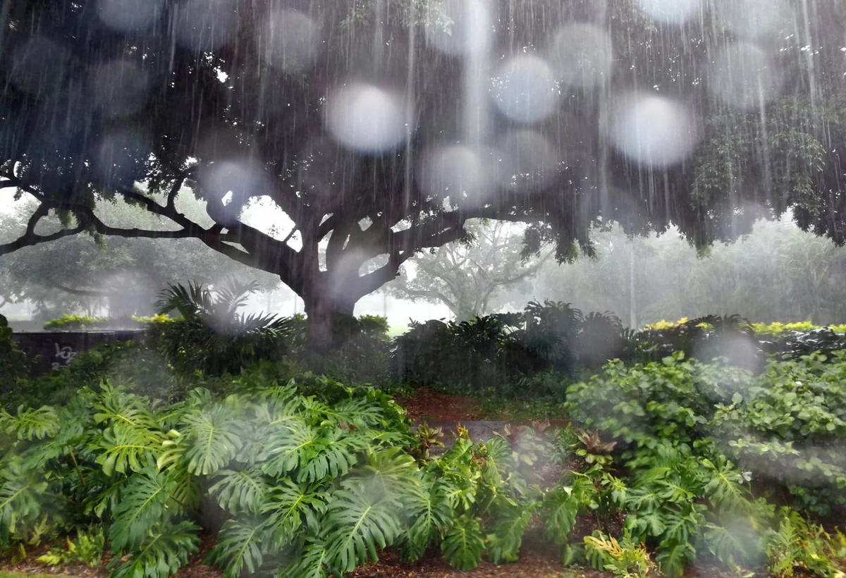 Weather forecast for next three days in Azerbaijan announced