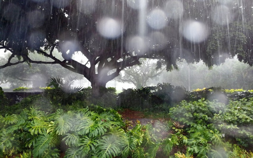 Weather forecast for next three days in Azerbaijan announced