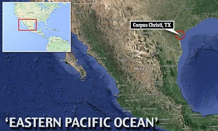 Mini submarine carrying 5.5 tons of cocaine intercepted by Texas officials