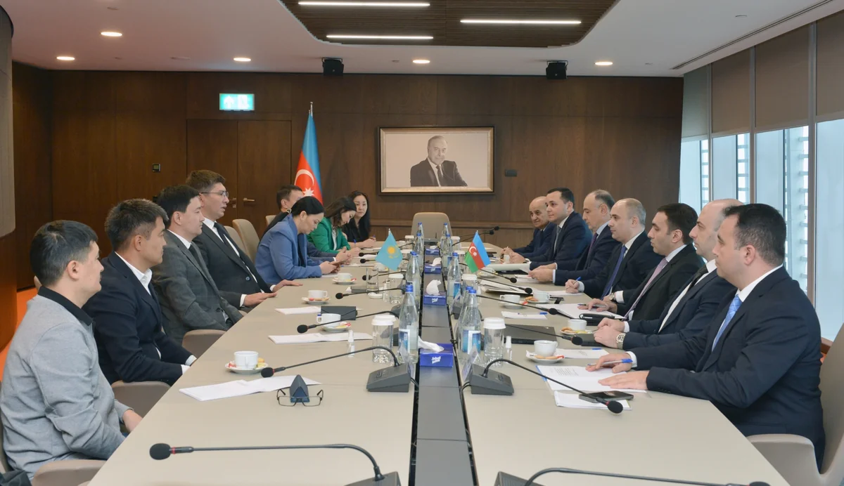 Kazakhstan studies tax administration experience of Azerbaijan