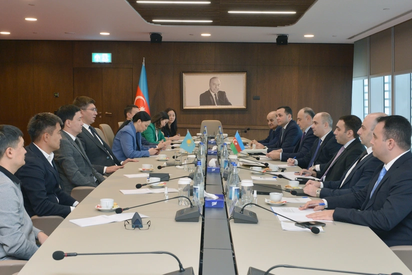 Qazaxıstan Azərbaycanın vergi inzibatçılığı təcrübəsini öyrənir
