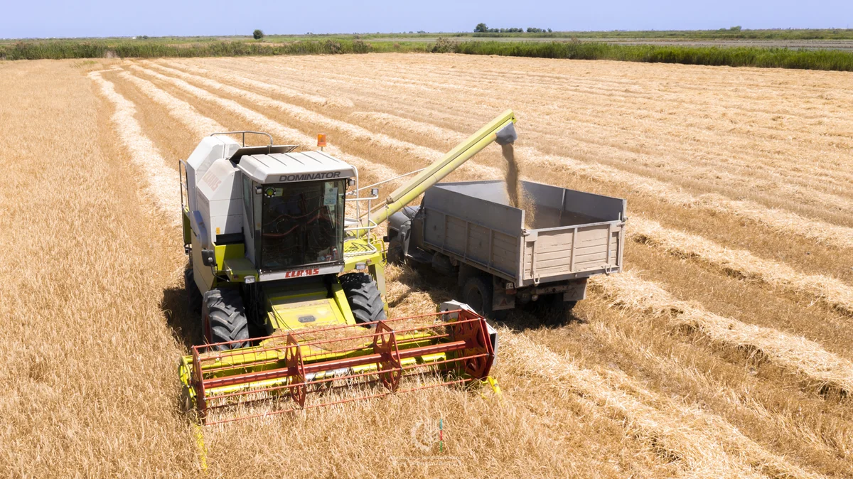 PM: Azerbaijan has enough grain reserves