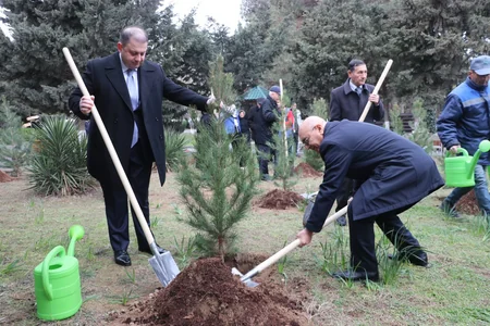 Yel çərşənbəsində Ahıllar evinin sakinləri ilə birgə ağac əkilib