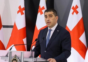 Papuashvili: Kallas threatens judges instead of apologizing to Georgia