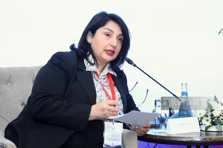 Bakıda məişət zorakılığı ilə bağlı beynəlxalq konfrans keçirilib