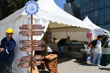 Bakıda “Bir Peşənin Sirri” festivalı keçirilib